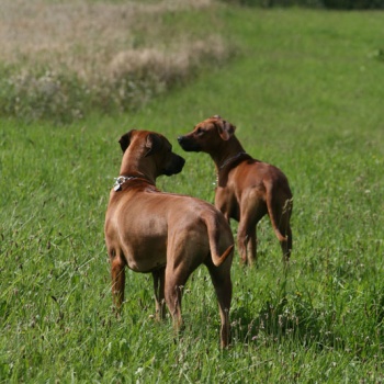 Aischa & Cailin