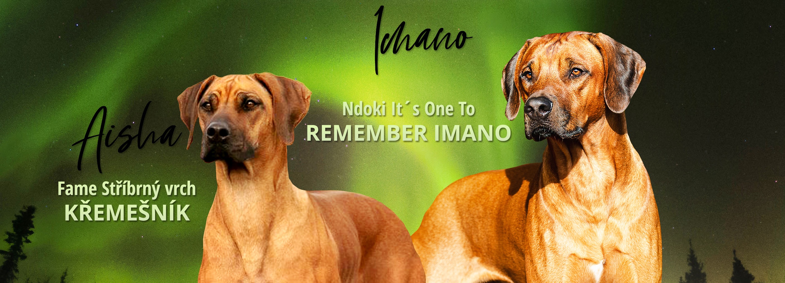 Aisha & Imano